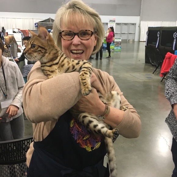 Meet your Posher, Bridget - Picture 3 of 4